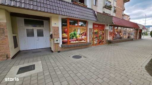 Tolstoi, Alba Iulia, Alba