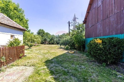 Strada 203, Pecica, Arad