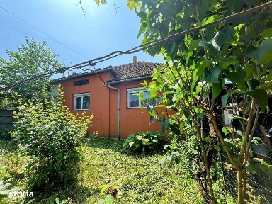 Strada Predeal, Mintiu, Satu Mare