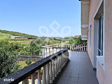 Strada Louis Pasteur, Nicolae Iorga, Oradea, Bihor