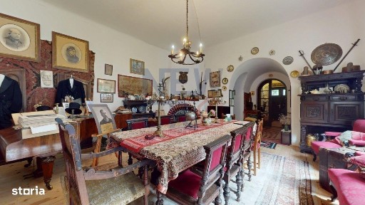 CONACUL GEORGE STEPHANESCU