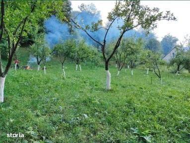 Casă cochetă cu teren generos și priveliște deosebită Vișeu de Sus
