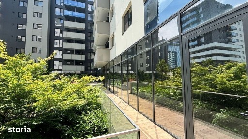 Strada Campul Pipera, Voluntari, Ilfov