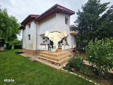 Strada Garoafei, Cornetu, Ilfov