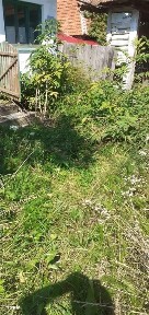 RECO, Casa la pret de teren, in Cetea, Borod,Bihor