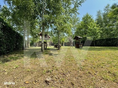 Cabana rustica de vis pe Valea Avrigului - un colt de rai in mijlocu