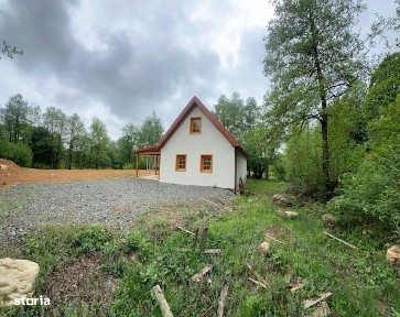 CHIUZBAIA 2CABANE cu teren de aprox. 70ari !