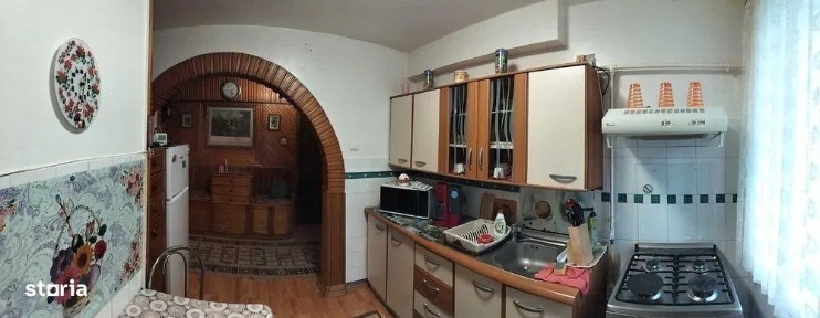 Targu Mures, Mures