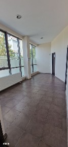 Delfinariu, Constanta