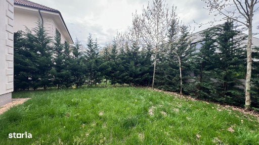 Strada Maramures, Otopeni, Ilfov