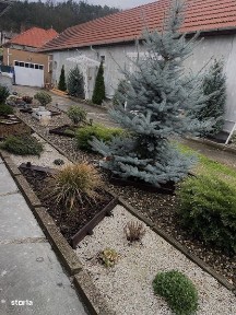 Închiriez camere pentru străini (emigranti)
