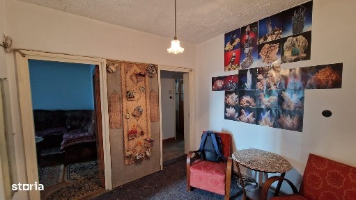 Sasar, Baia Mare, Maramures