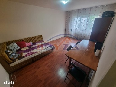 Strada Paltinisului, Vasile Alecsandri, Baia Mare, Maramures