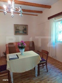 Casa P+E, panorama montana, 4.400 mp teren, Ocoliş