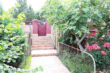 Strada Nationala, Ovidiu, Constanta