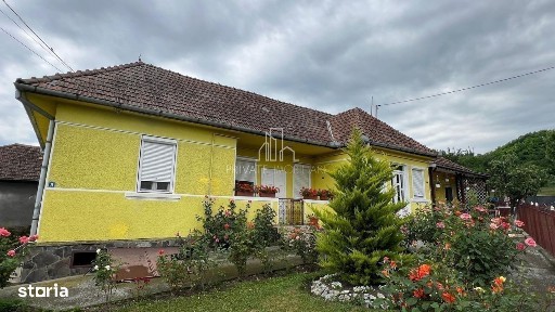Casa cu Teren 5 000 Mp De Vanzare, Sat Voiniceni