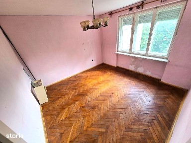 Botizului, Satu Mare