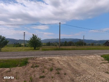 Casa+teren 5000mp, 70ml la DN 2E, zona Cacica, Radauti