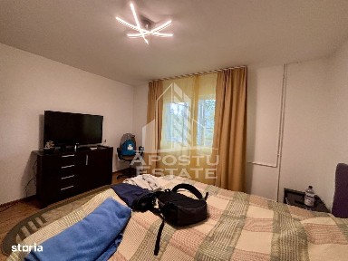 Steaua, Timisoara, Timis