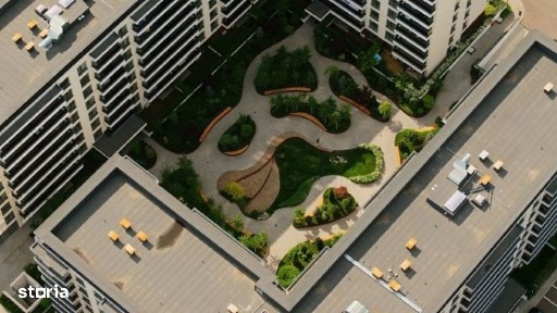 Strada Aviator Ion Muntenescu, Floreasca, Sectorul 2, Bucuresti