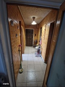 Subcentral, Satu Mare