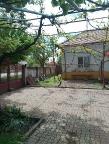 Două case în aceeași curte cu teren 970mp,str.asfaltată,cu utilități.