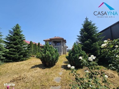 Bogdan Voda, Saucesti, Bacau