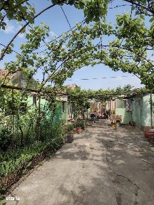 Cetate, Timisoara, Timis