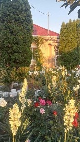 Neamt, Secuienii Noi