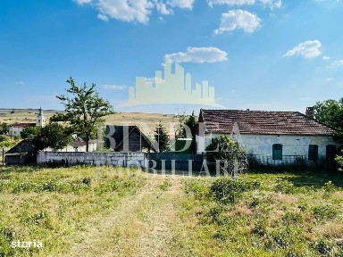 Casa caramida+ teren 3160+ cabana lemn Bencecu de Jos