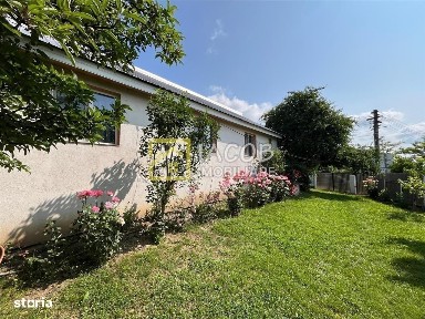 Strada Nucului, G. Bacovia, Bacau