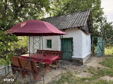 Casa taraneasca cu teren de 5.500 mp. - Uileacu de munte - IMOBIHOR