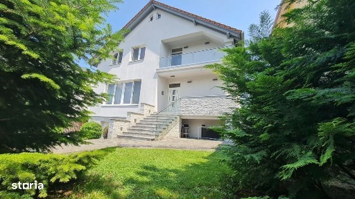 Andrei Muresanu, Cluj-Napoca, Cluj