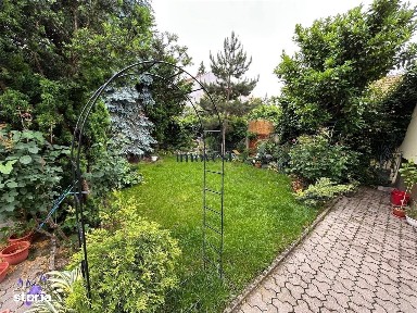 Subcentral, Satu Mare