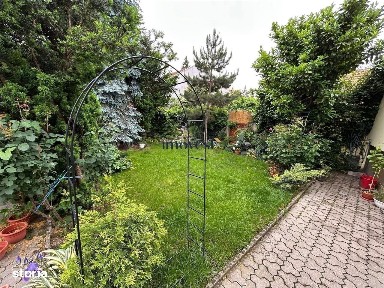 Subcentral, Satu Mare