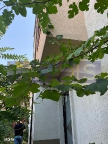 Strada Fecioarei, Stefan cel Mare, Sectorul 2, Bucuresti