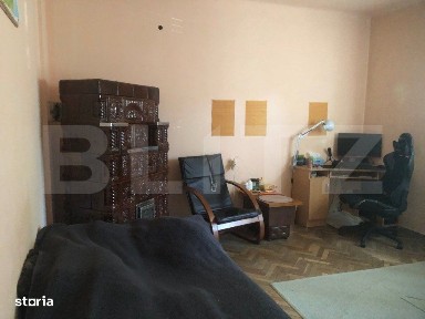 Solidaritatii, Satu Mare