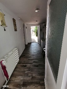 Steaua, Timisoara, Timis