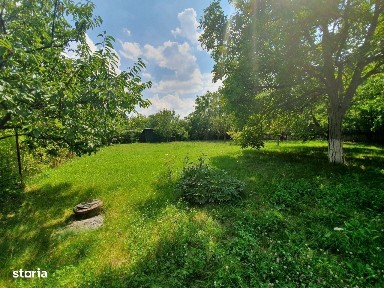 Strada Eraclie Arion, Baneasa, Sectorul 1, Bucuresti