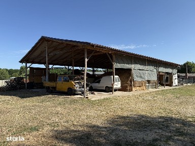 Catun / Ferma autorizata Tip A pentru crtesterea porcilor - IMOBIHOR