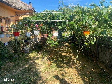 Casa cu gradina si anexe de vanzare, Balta, com. Runcu, Gorj