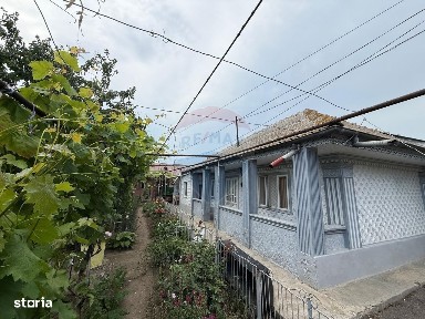 Zorleni, Vaslui