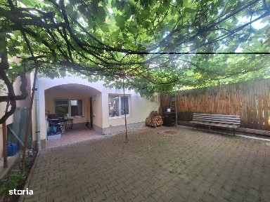 doua case de vanzare in aceeasi curte, în zona Sub Arini