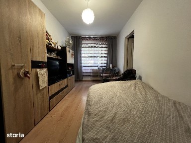 Calea Sagului, Timisoara, Timis