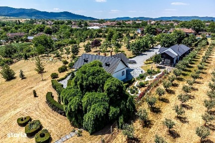 Draut, Tarnova, Arad