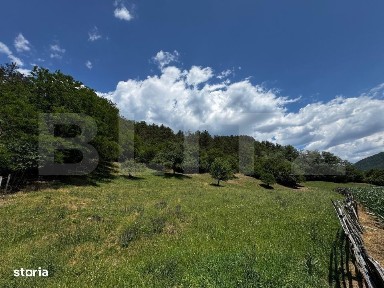 Casa cu 6000 mp teren, Poiana Ampoiului - Metes