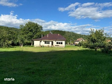 2caselocuibile,30.000 m2 curte 7000 Ingraditi 46ml la drumul principal