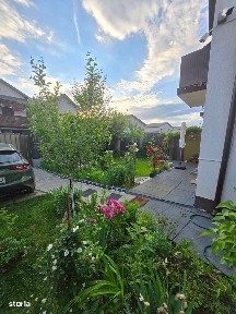 Strada Cetinei, Olteni, Clinceni, Ilfov