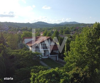 Strada Unirii, Comanesti, Bacau