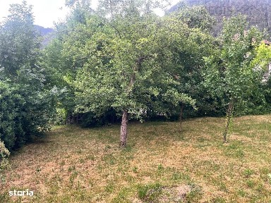 TEREN 1600MP CU CASA 5 CAMERE, SCHEII BRASOVULUI
